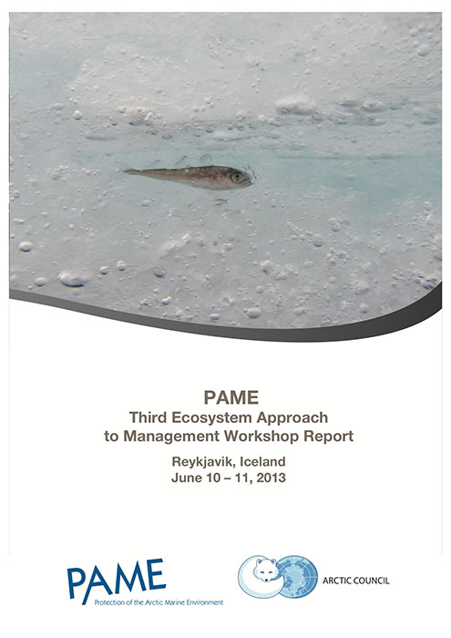 3rd EA Workshop Report 10-11 June 2013 copy