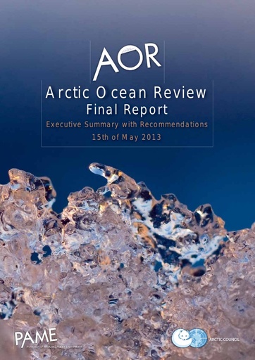 AOR Executive Summary with Recommendations