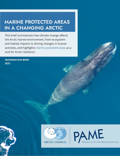 MPA Information Brief: Marine Protected Areas in a Changing Arctic