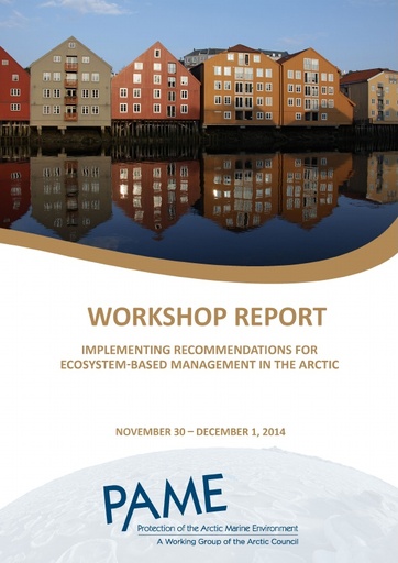 Implementing EA - Workshop Report