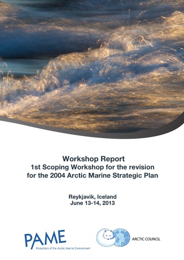 AMSP Workshop report (2013)