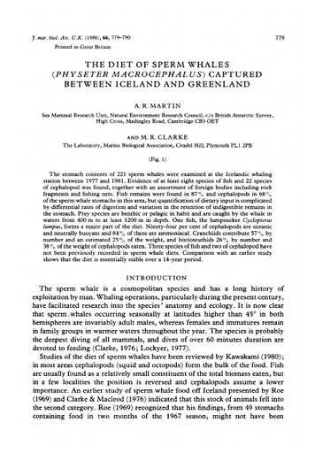 Martin, A. R. and M. R. Clarke (1986). The Diet of Sperm Whales (Physeter Macrocephalus) Captured Between Iceland and Greenland. Journal of the Marine Biological Association of the United Kingdom, 66(04)