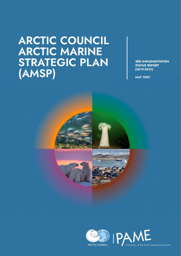 3rd AMSP Implementation Report 2019-2021